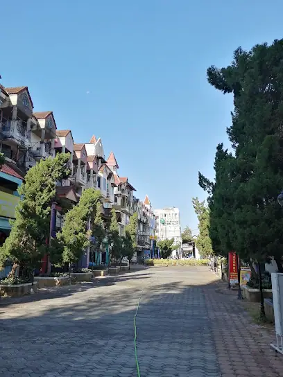 빠통 비치