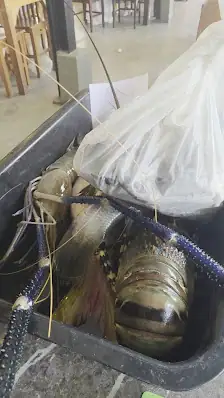 라와이 해산물 시장 사진으로 미리 보기 3