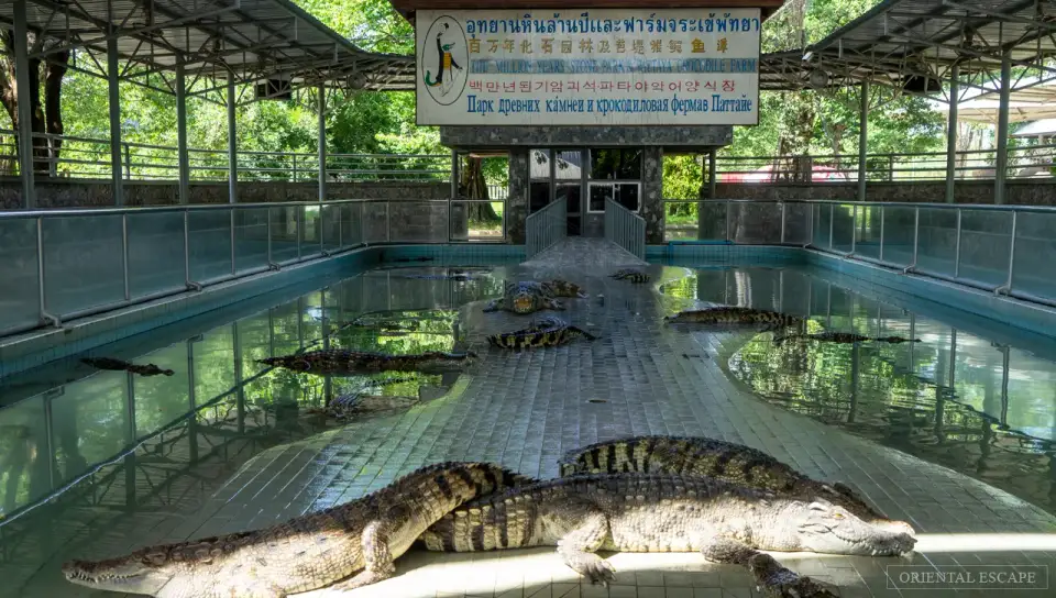 The Million Years Stone Park & Pattaya Crocodile Farm