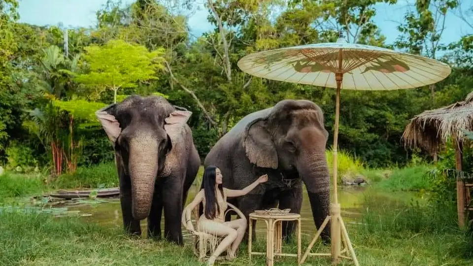 Pattaya Elephant Village & MongChang Cafe