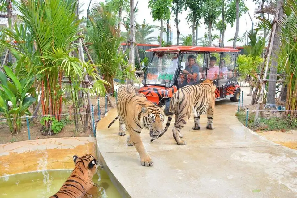 Tiger Park Pattaya