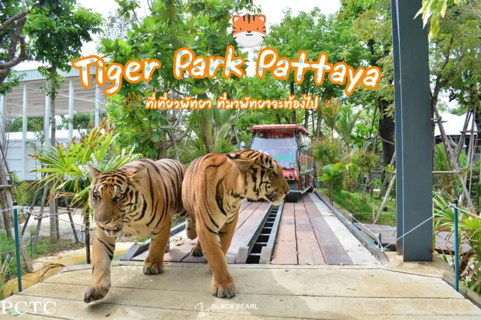 Tiger Park Pattaya 사진으로 미리 보기 4
