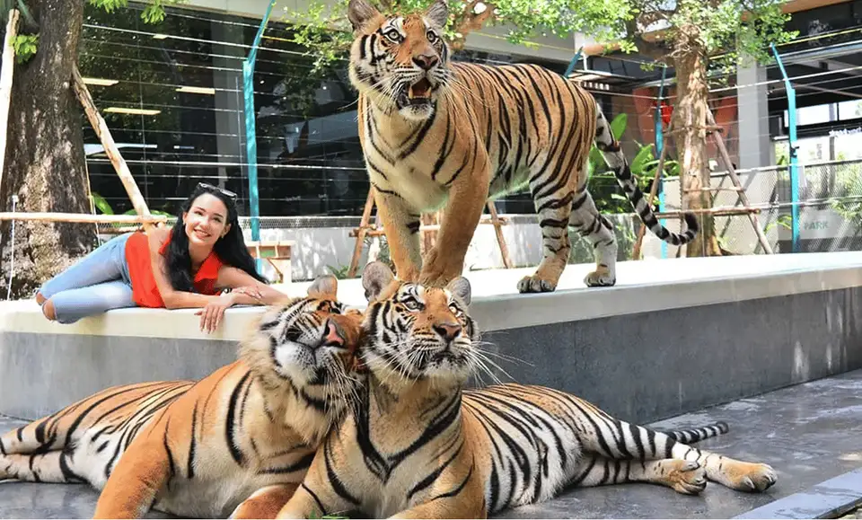Tiger Park Pattaya 사진으로 미리 보기 6